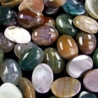 10 x 8 Cabochon - Indian Agate