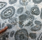 Orbicular Granite Rough Stone - Per Kilo
